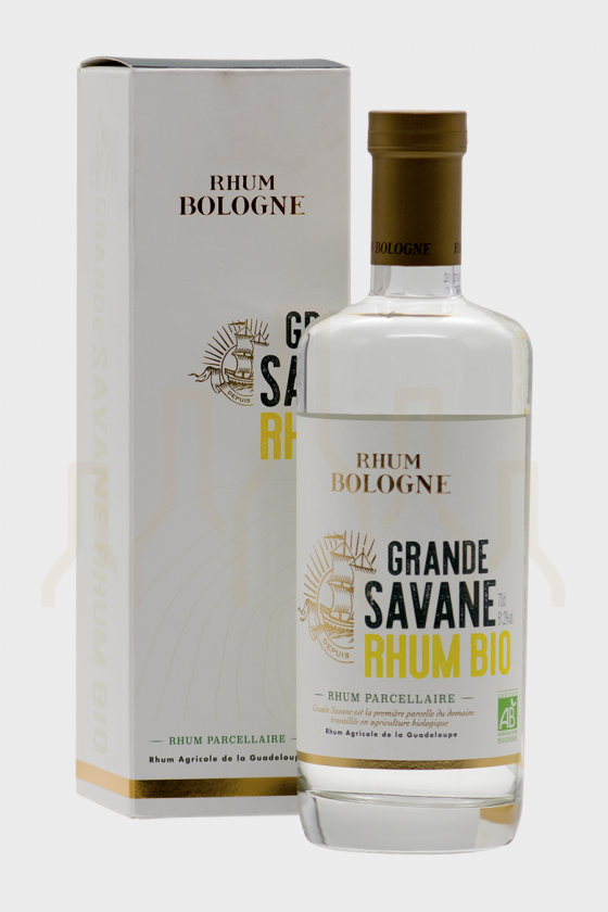 BOLOGNE Grande Savane